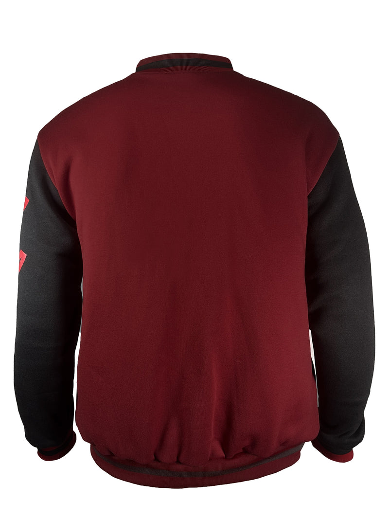 Men's Casual Letter Print Color Block Varsity Jacket, Baseball Jacket.