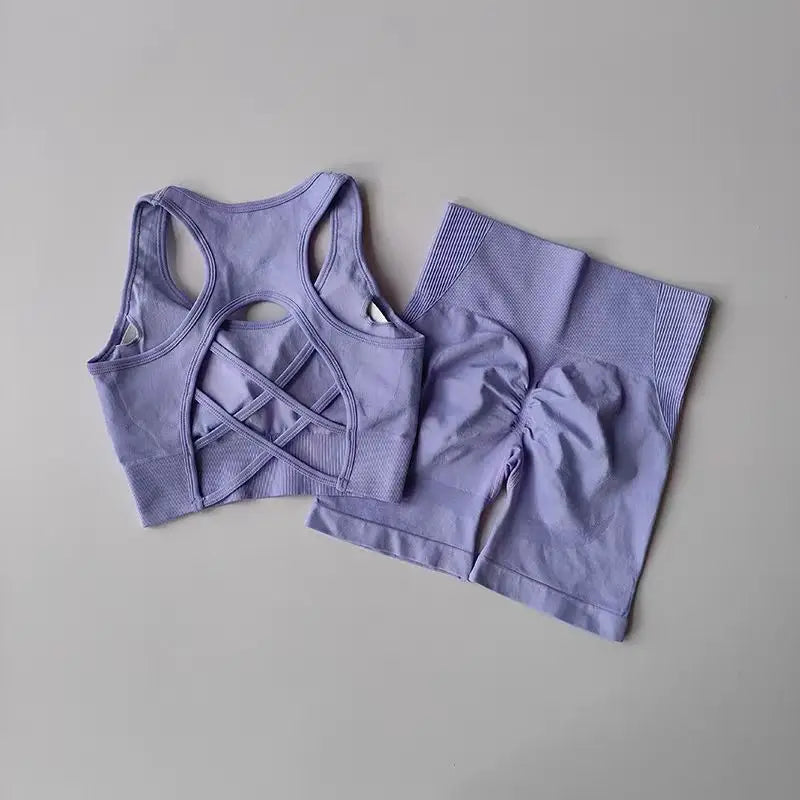 2 PCS Women's Seamless Yoga Set Sexy Sport Bra High Waist Sports Shorts.