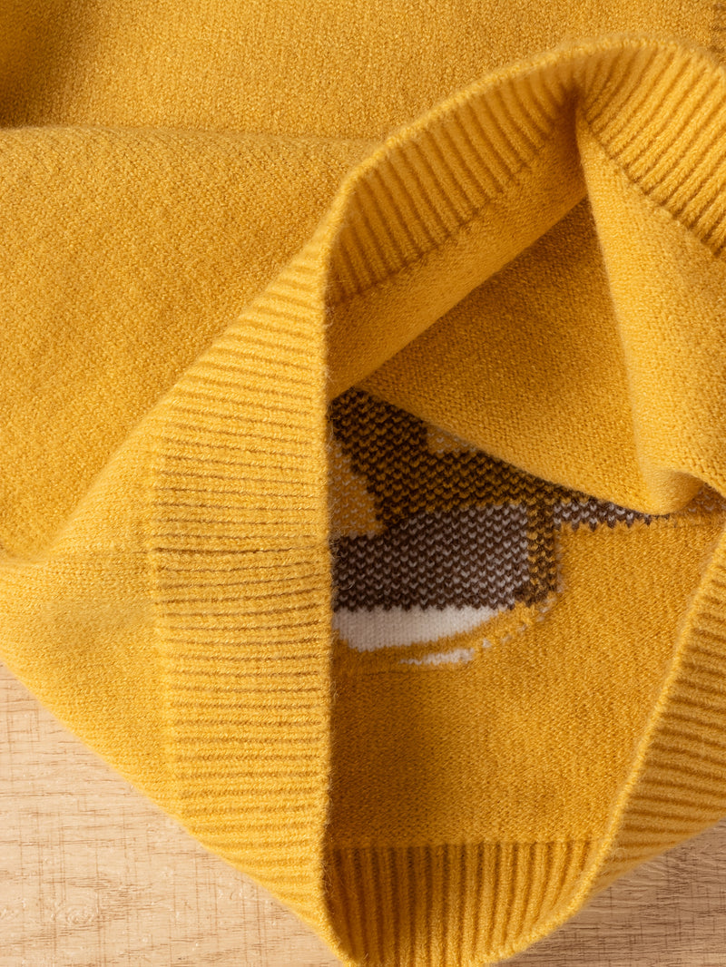 Boys' Cartoon Lion Cute Style Vest.